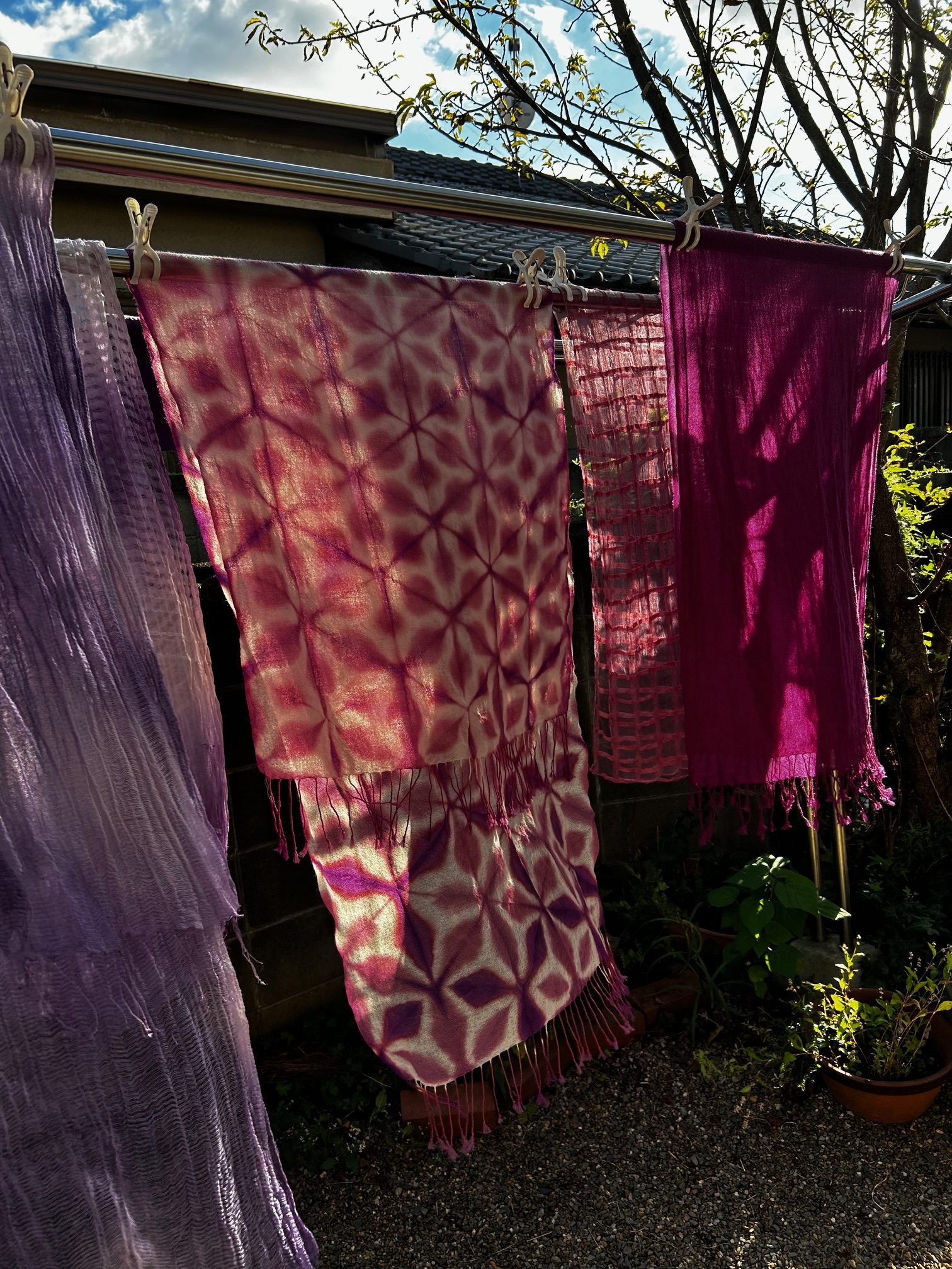 ウメノキゴケ染め