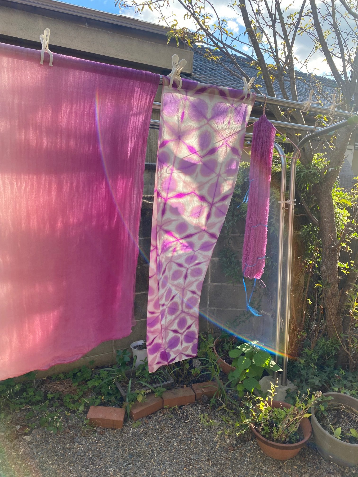 ウメノキゴケ染め